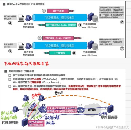 計算機網絡期末復習筆記（第六彈） 應用層與網絡信息咨詢